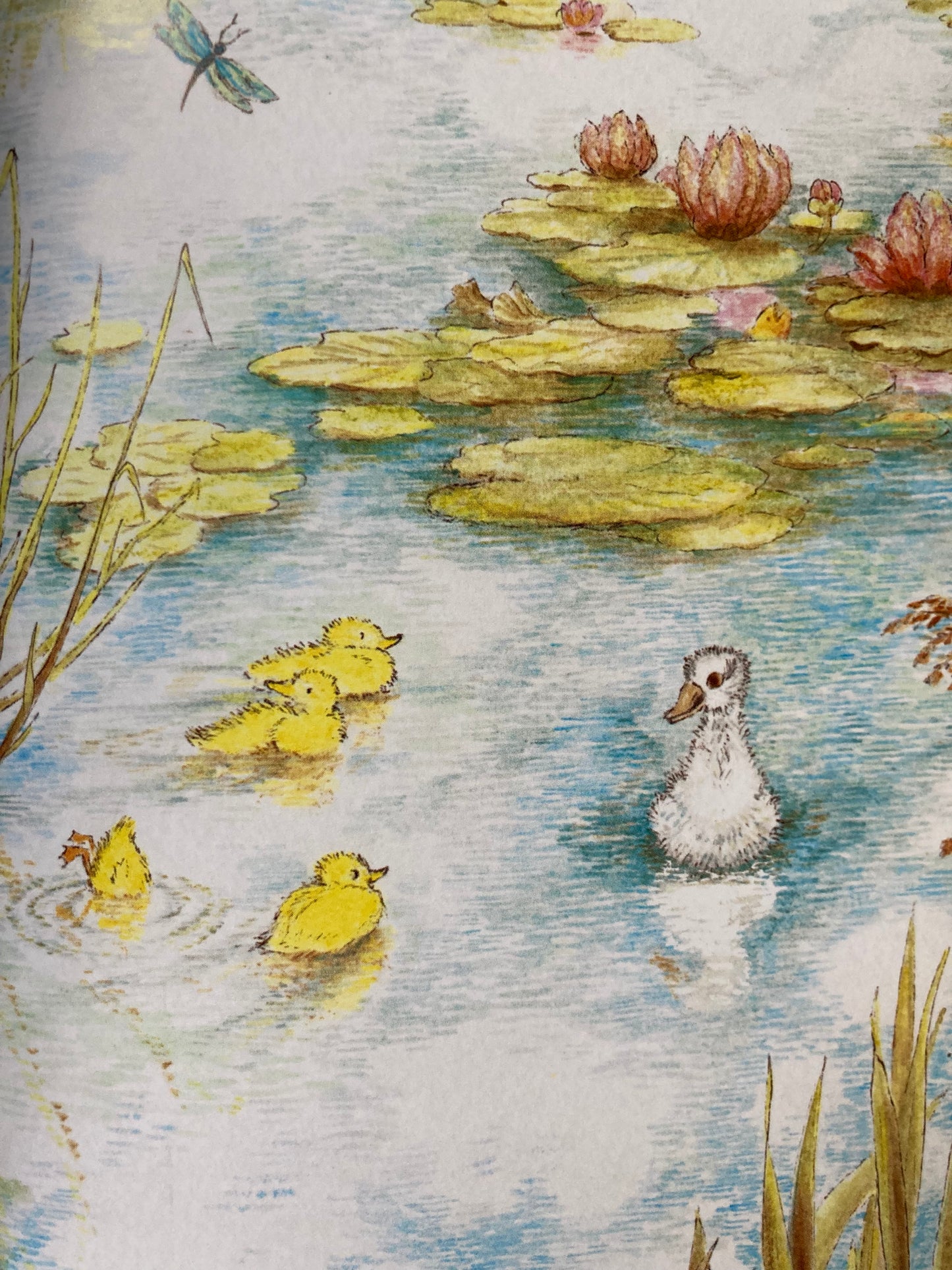 Children's Fairy Tale Book - THE UGLY DUCKLING