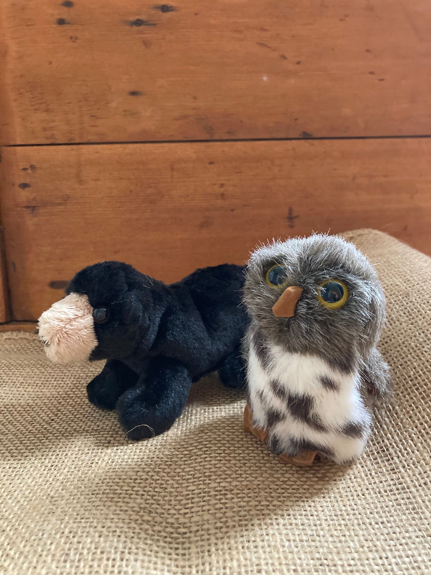 Soft Toy Finger Puppet - SPOTTED OWL