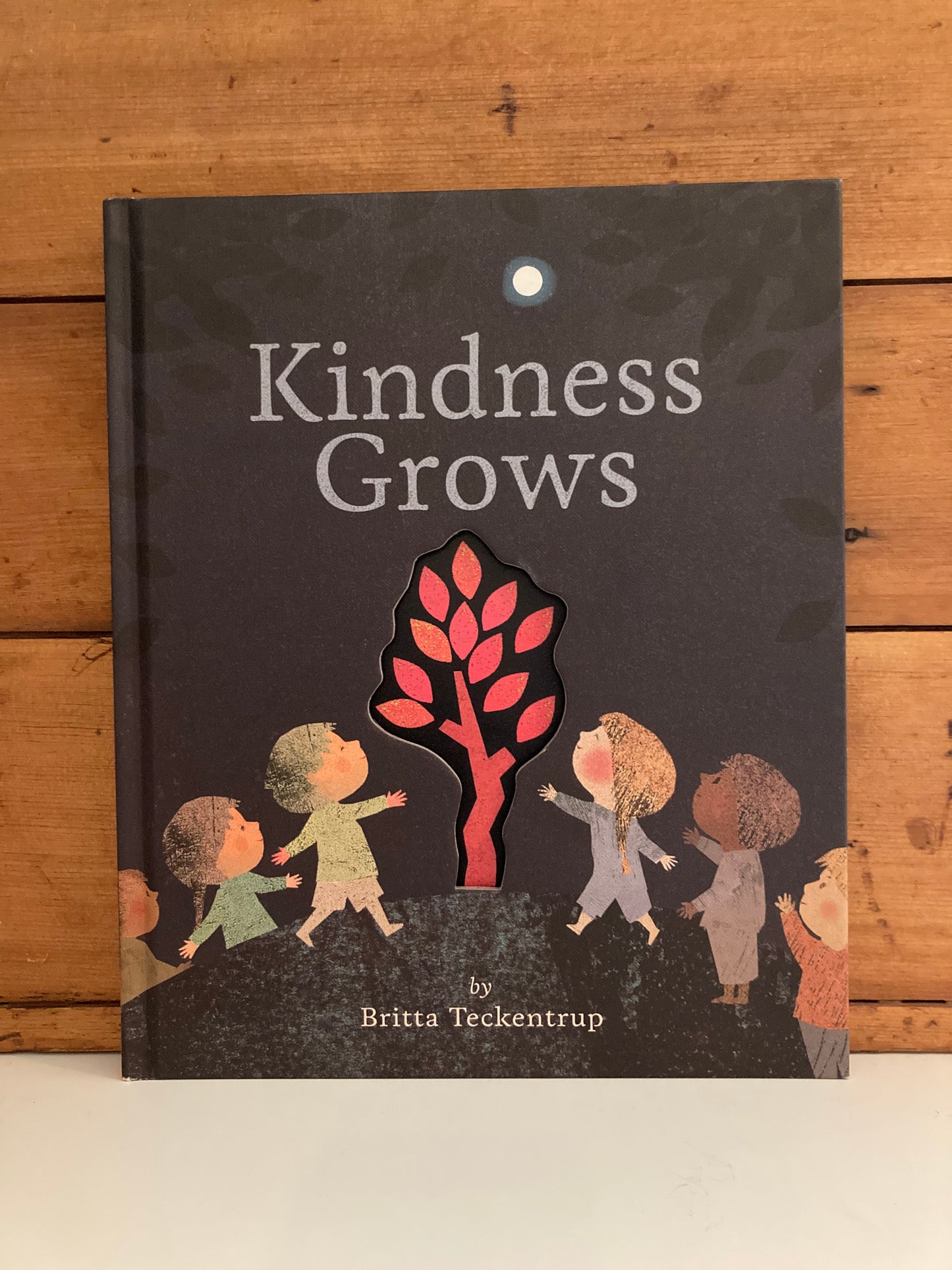 Children’s Picture Book - KINDNESS GROWS