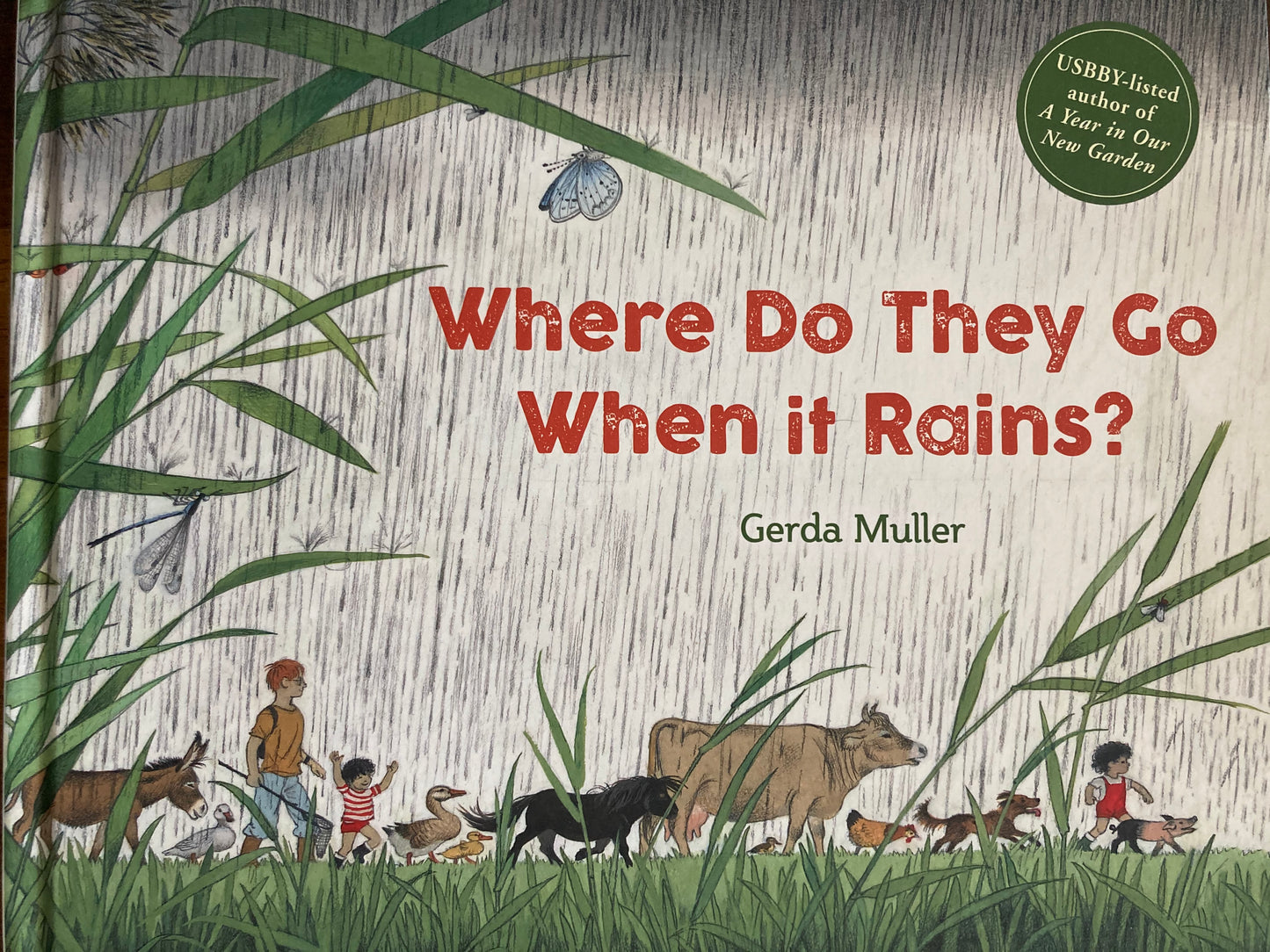 Children's Picture Book - WHERE DO THEY GO WHEN IT RAINS?