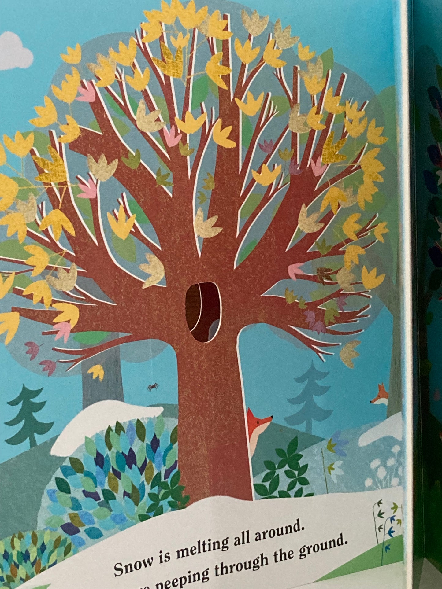 Board Book, Baby - TREE, with cut-outs