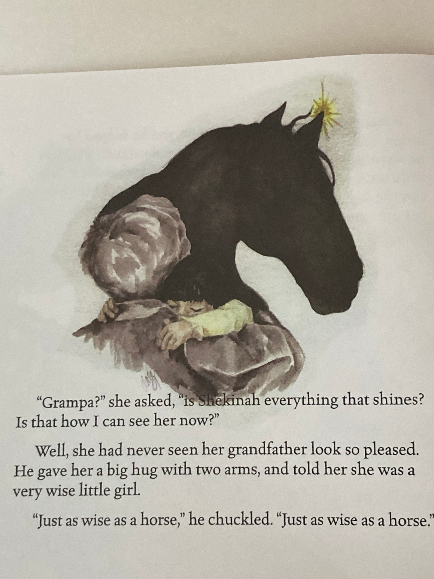 Children’s Picture Book - EVERYTHING THAT SHINES