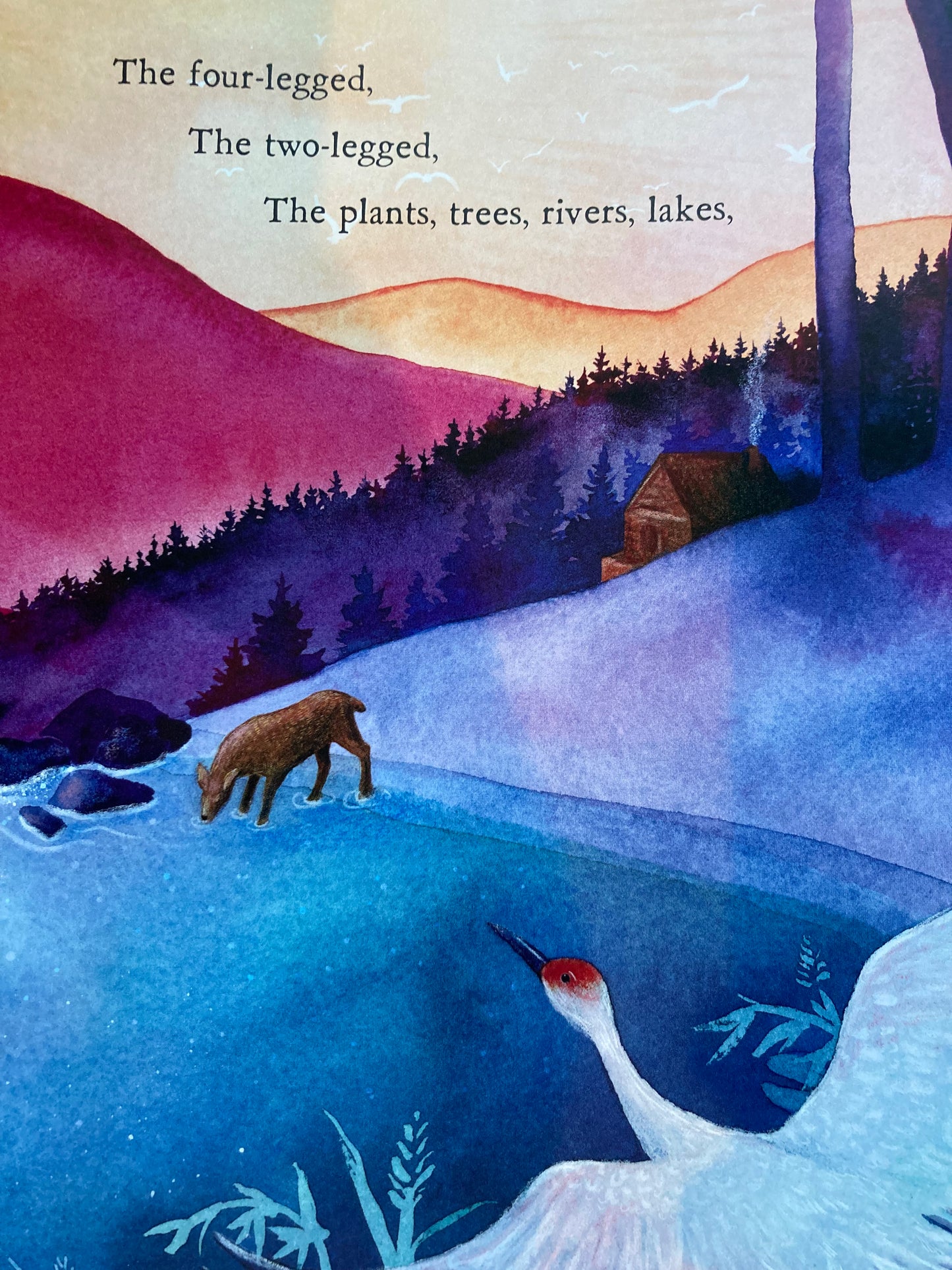 Children’s Picture Book - WE ARE WATER PROTECTORS