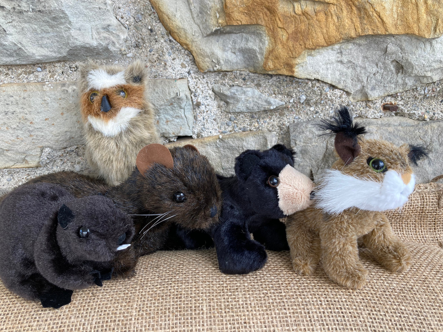 Soft Mini Puppet Set - Wild ANIMALS of ATLANTIC MARITIME FORESTS