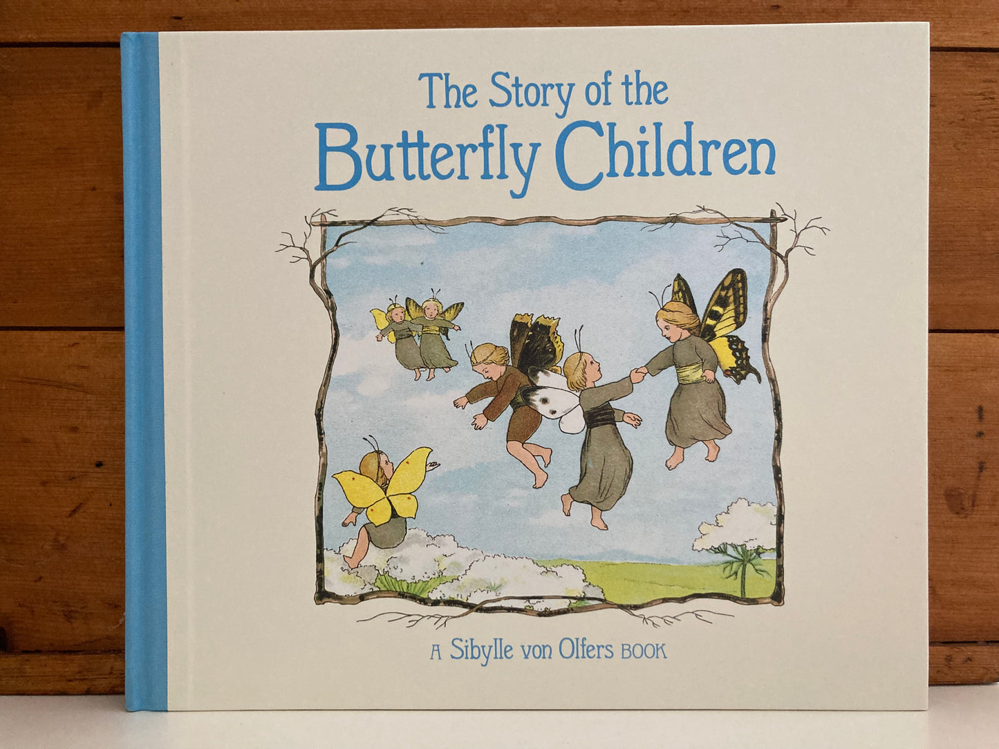 Children’s Picture Book - THE STORY OF THE BUTTERFLY CHILDREN
