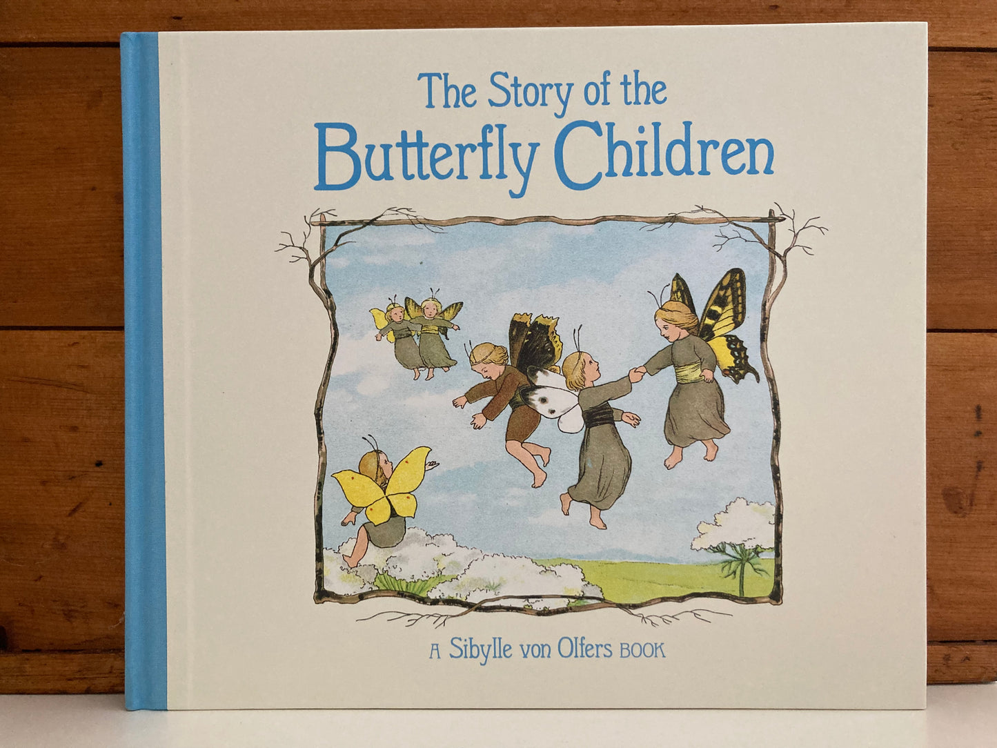 Livre d'images pour enfants - L'HISTOIRE DES ENFANTS PAPILLON