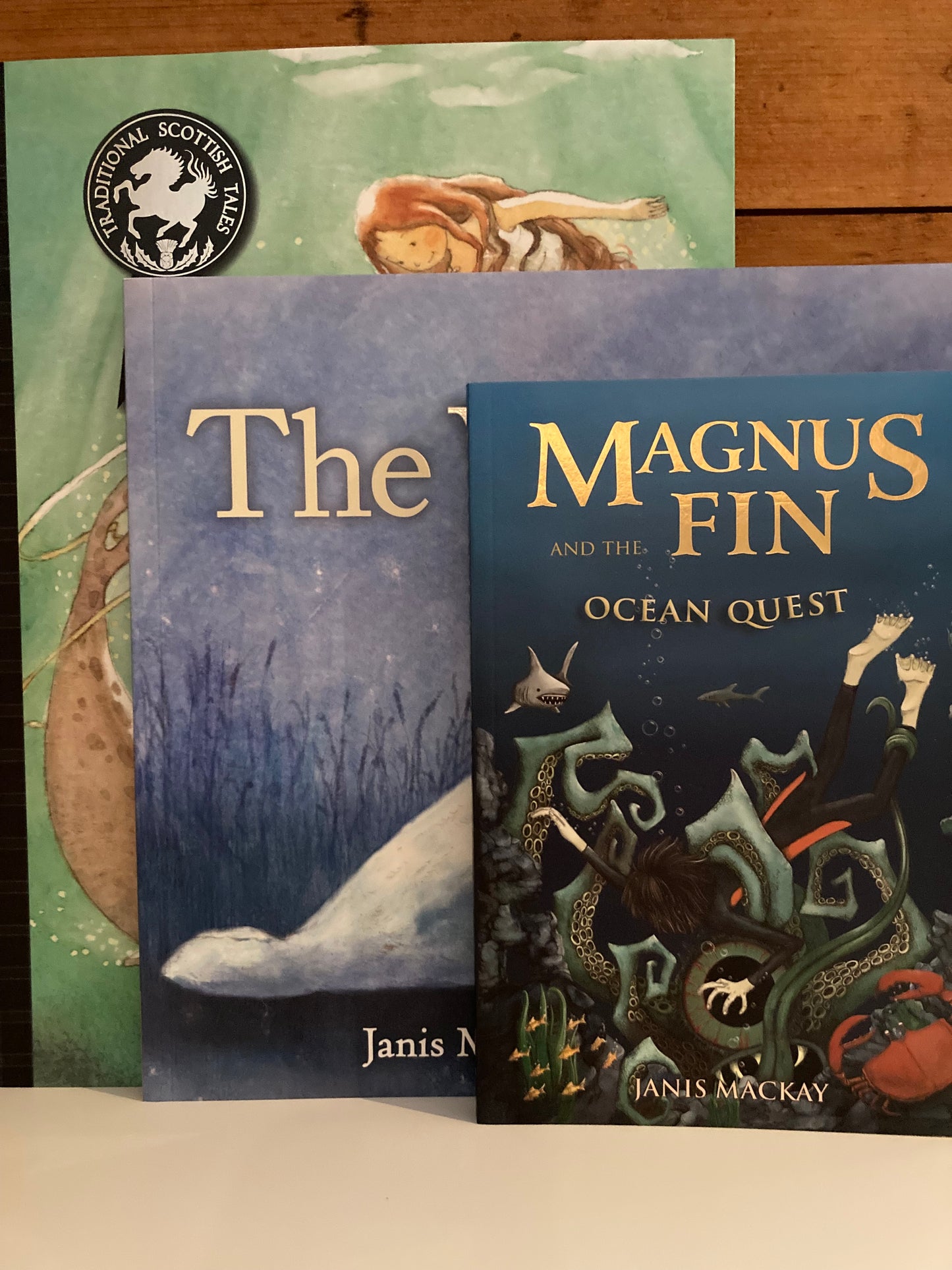 Chapter Books for Older Readers - MAGNUS FIN TRILOGY BOOKS