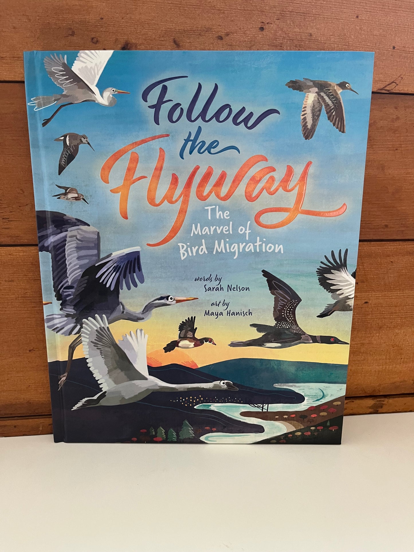 Educational Picture Book  - FOLLOW THE FLYWAY, The Marvel of Bird Migration