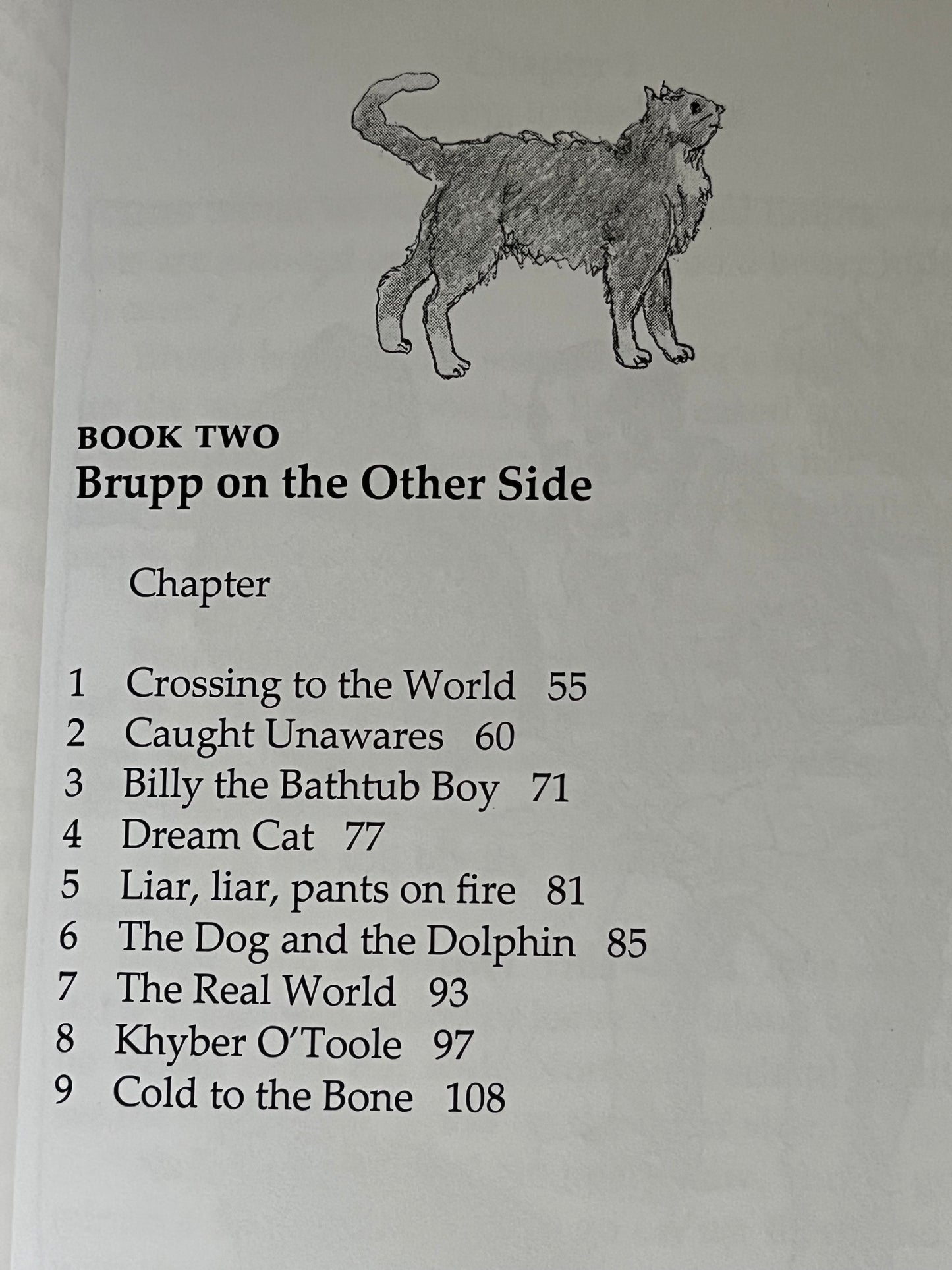 Chapter Book for Young Readers - ADVENTURES OF AN ISLAND CAT NAMED BRUPP