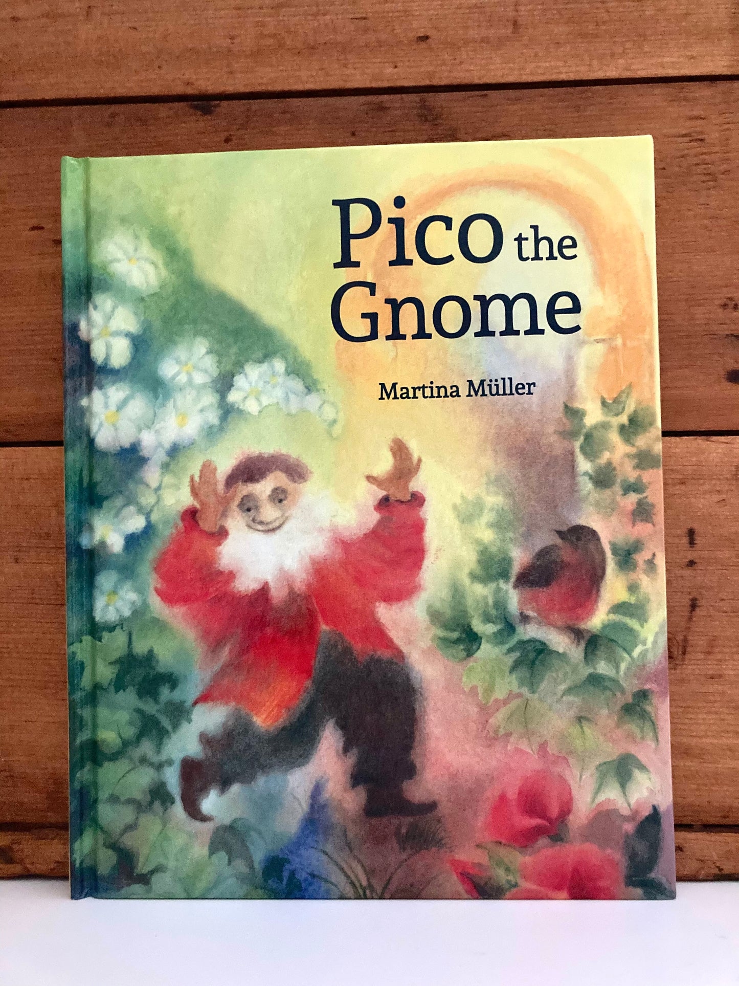 Livre d'images pour enfants, lecteur précoce - PICO LE GNOME