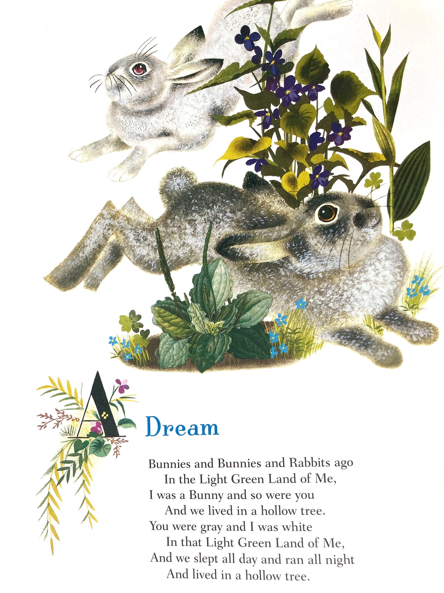 Livre d'images pour enfants - LE LAPIN D'OR de Margaret Wise Brown