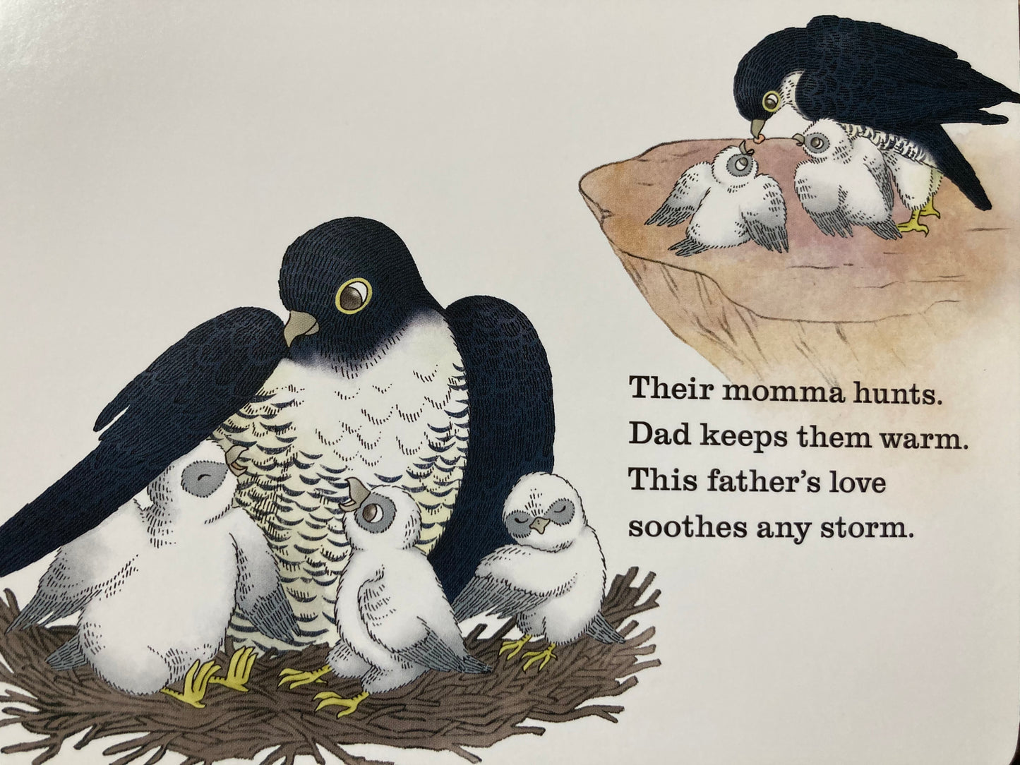 Board Book, Baby - A FATHER'S LOVE