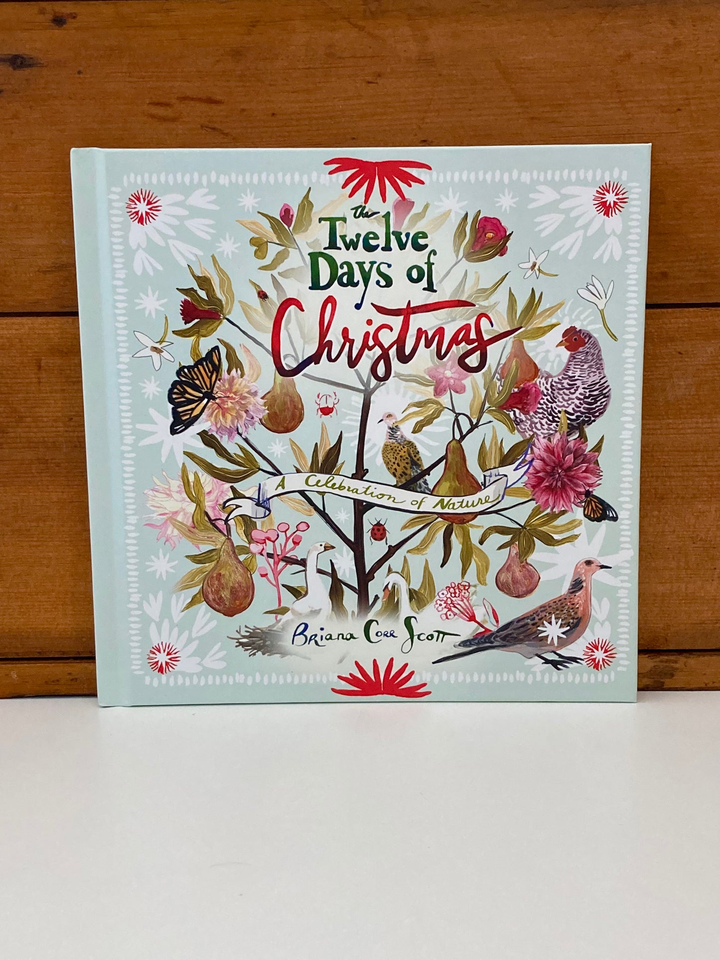 Children's Picture Book - THE TWELVE DAYS OF CHRISTMAS, A Celebration of Nature