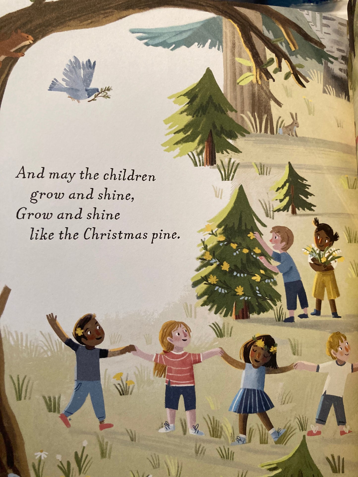 Children’s Picture Book - THE CHRISTMAS PINE