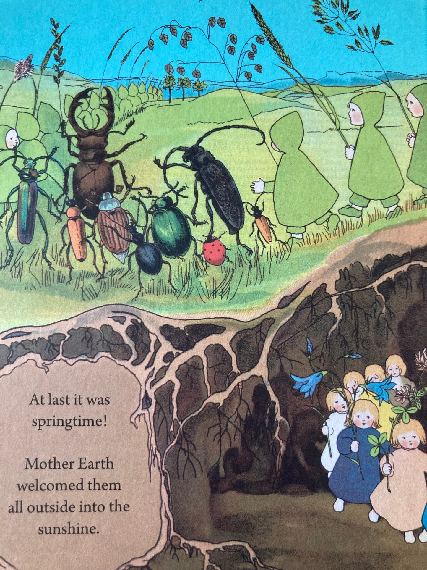 Board Book, Baby - MY FIRST ROOT CHILDREN