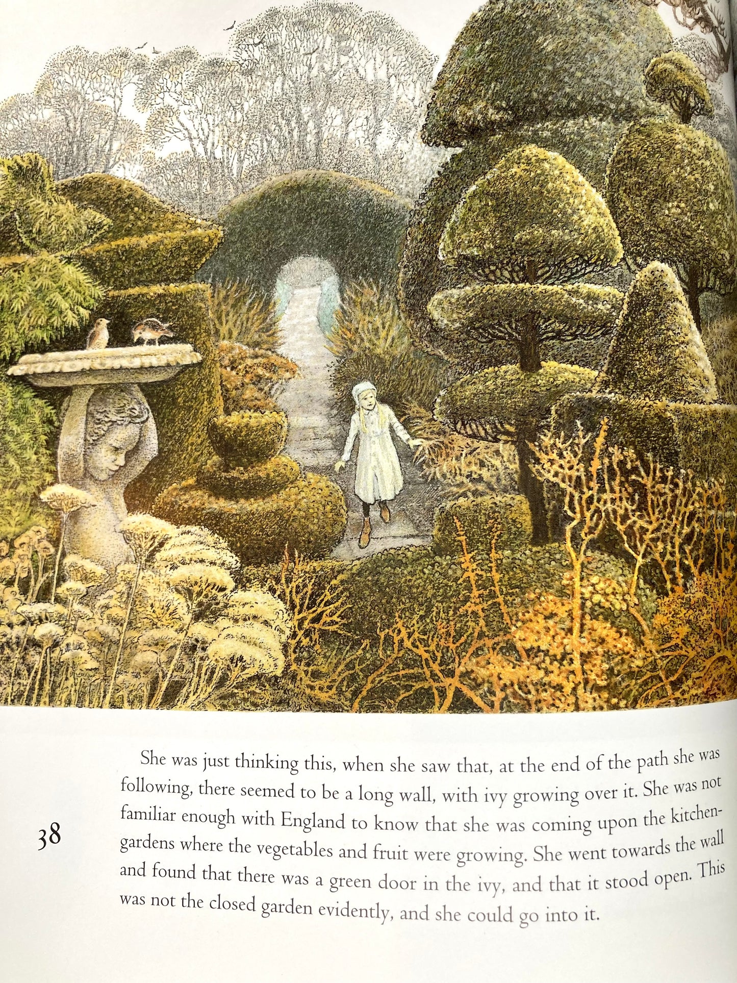 Children’s Chapter Picture Book - THE SECRET GARDEN