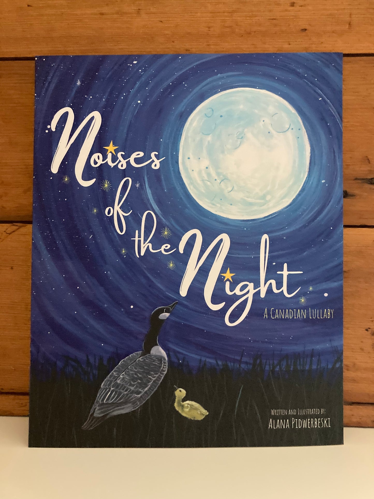 Children’s Picture Book - NOISES of the NIGHT