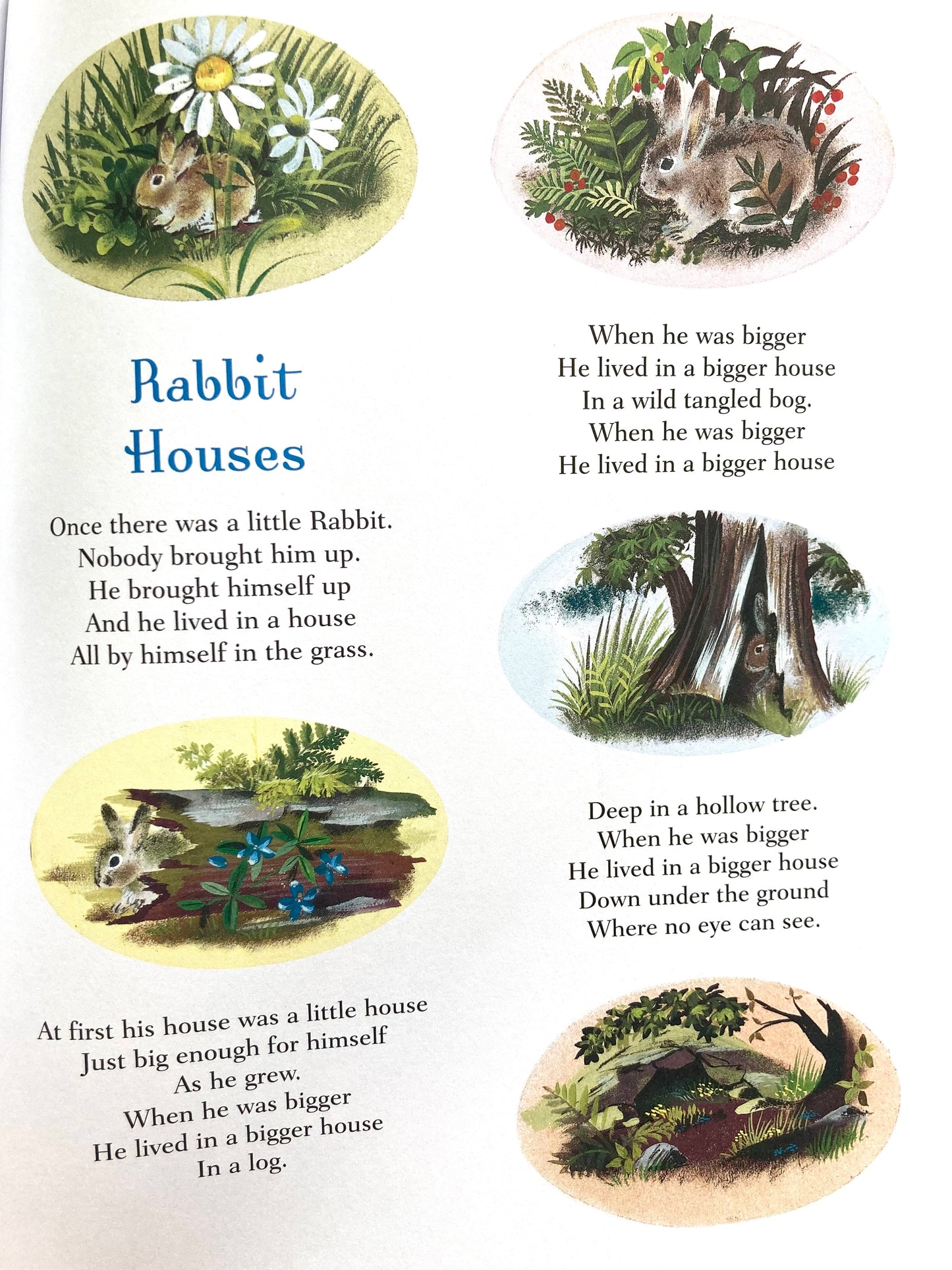 Children's Picture Book - Margaret Wise Brown's THE GOLDEN BUNNY