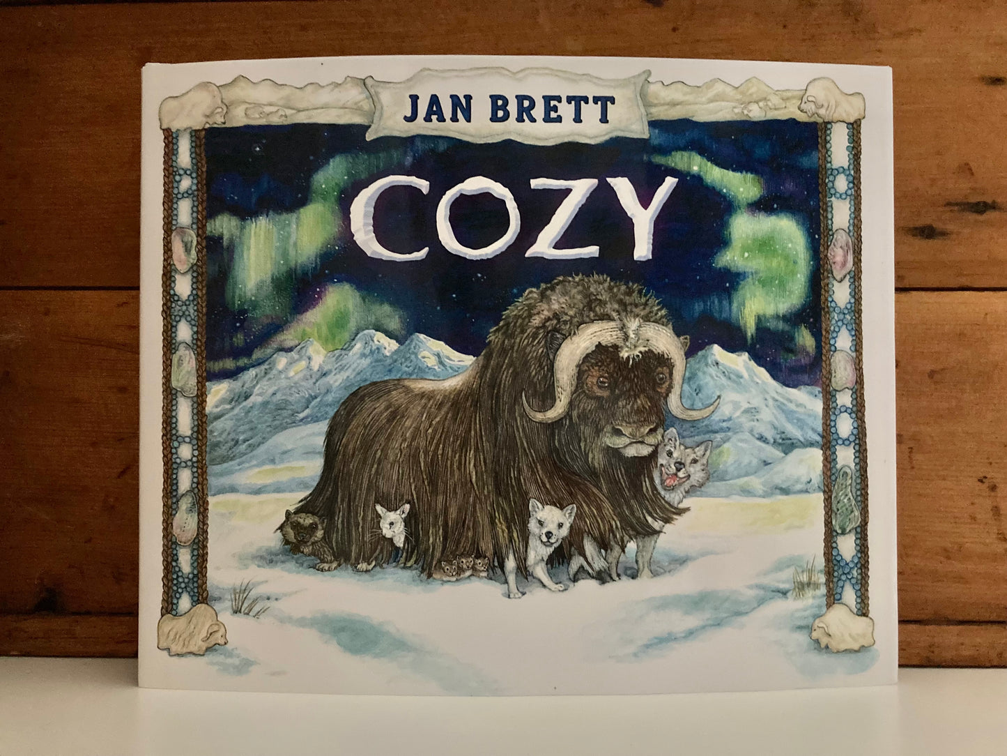 Children’s Picture Book - Jan Brett's COZY