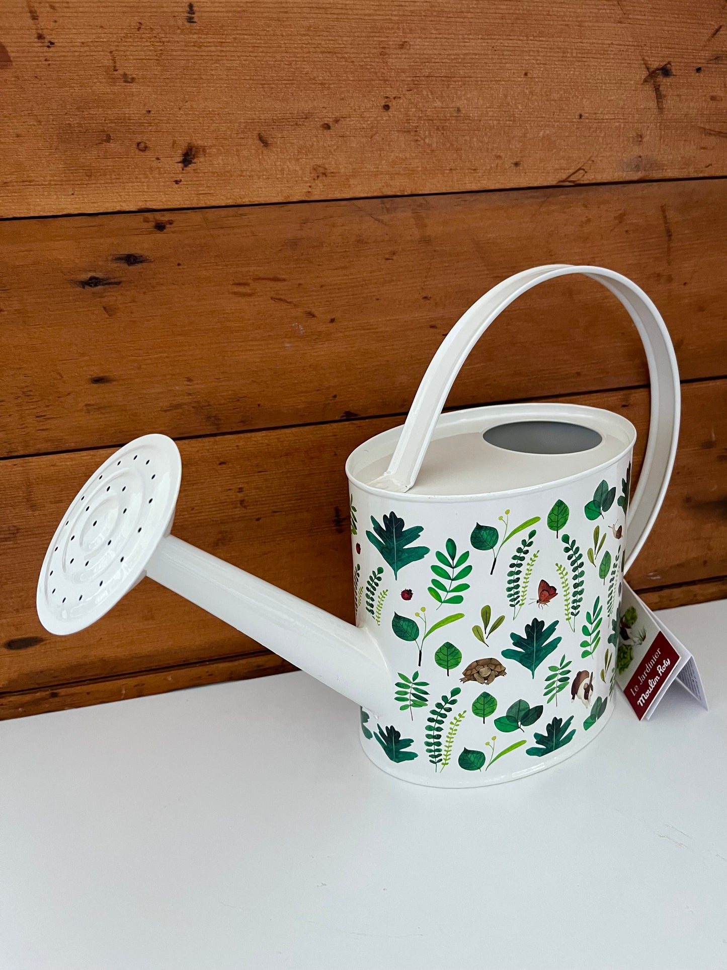 Child Sized Gardening WATERING CAN