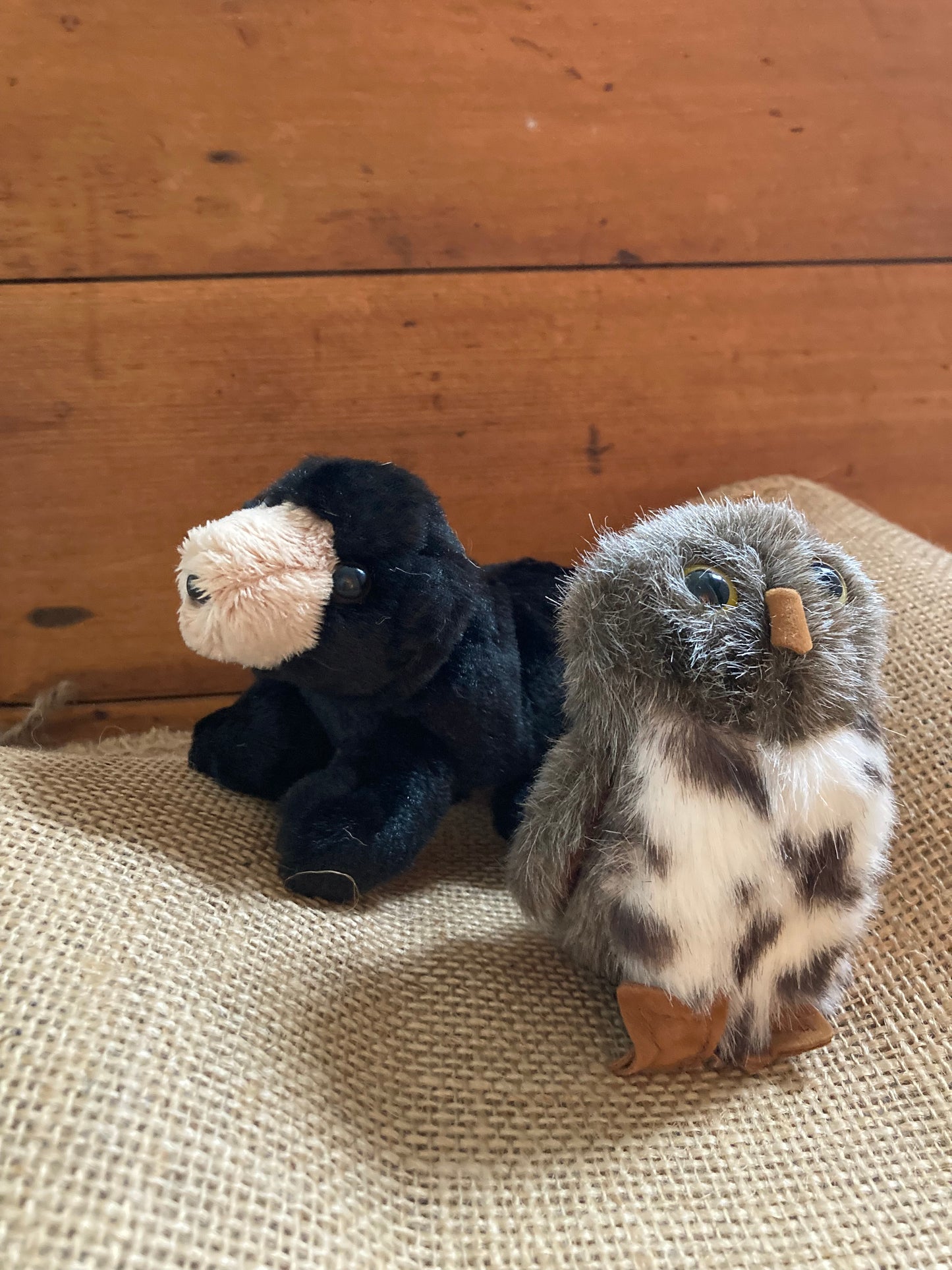 Soft Toy Finger Puppet - SPOTTED OWL