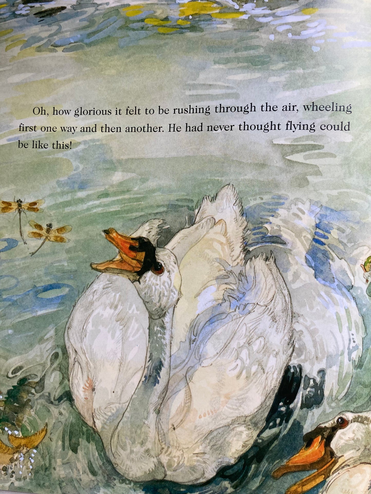 Children’s Fairy Tale Book - THE UGLY DUCKLING