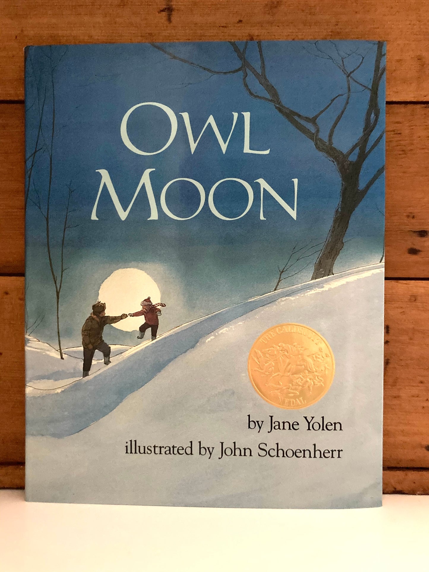 Children's Picture Book - OWL MOON