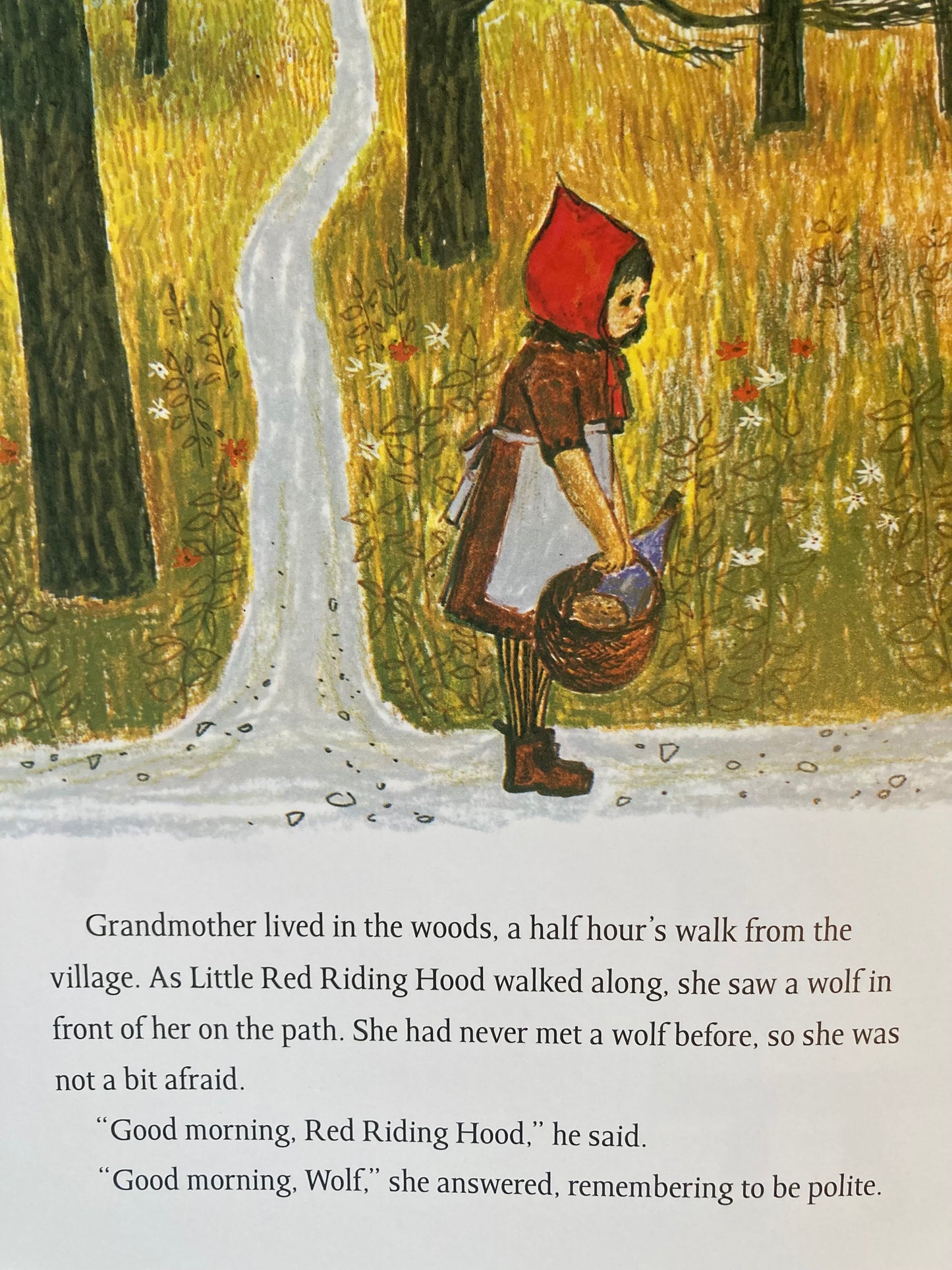 Children's Fairy Tale Book - LITTLE RED RIDING HOOD