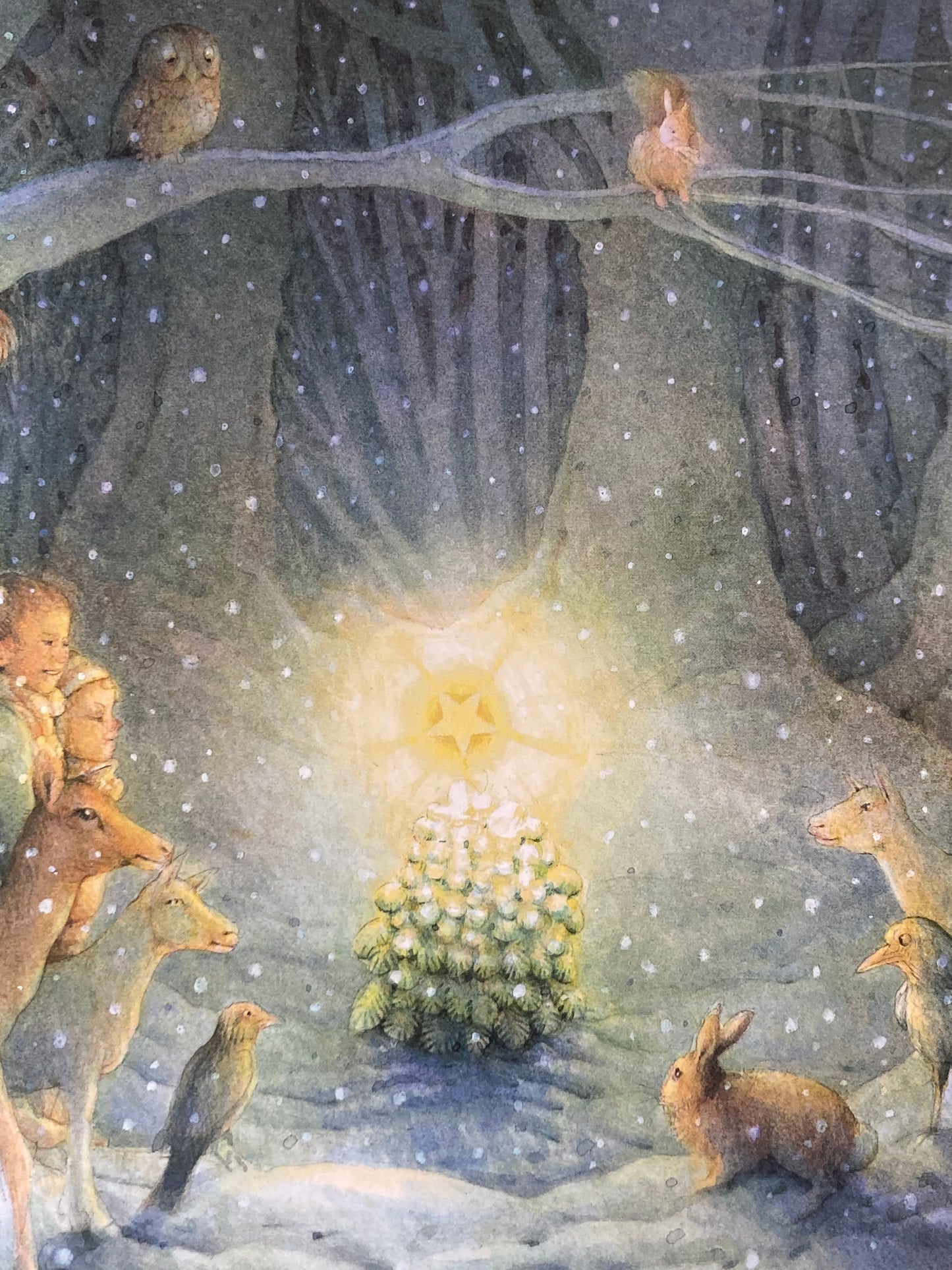 Children’s Picture Book - THE LITTLE CHRISTMAS TREE