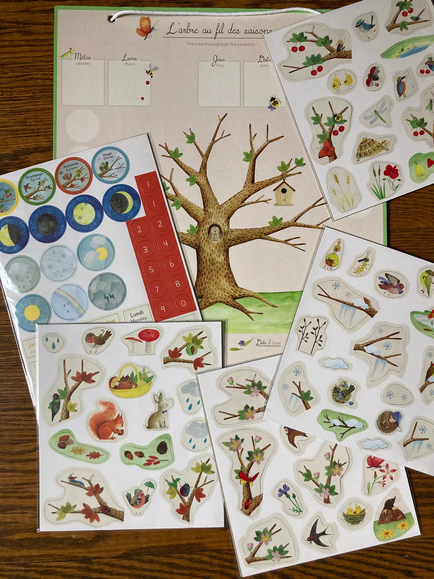 Educational Resource - TREE THROUGHOUT THE SEASONS, a seasonal calendar!