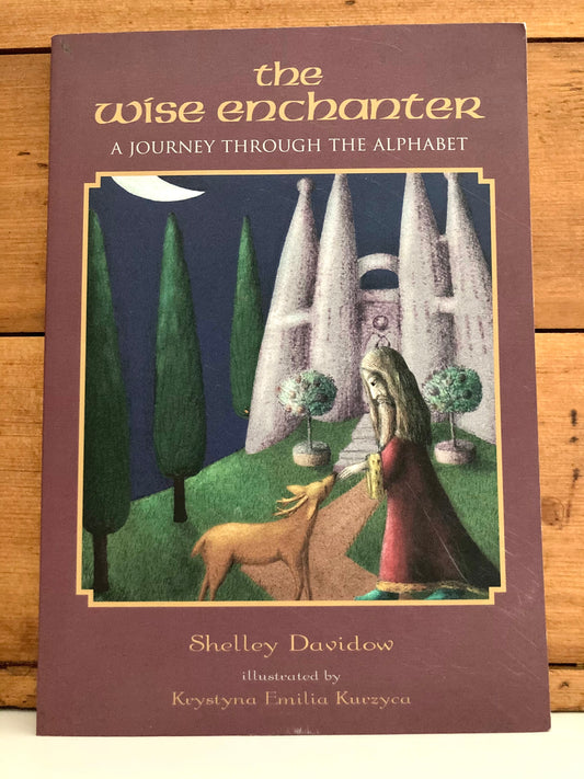Educational Chapter Book - THE WISE ENCHANTER (A Journey through the Alphabet)