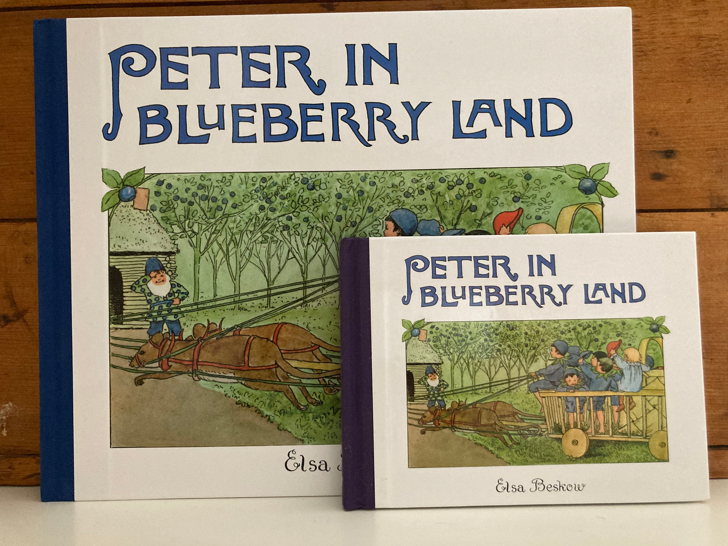 Livre d'images pour enfants - PETER AU PAYS DES BLEUETS, format mini