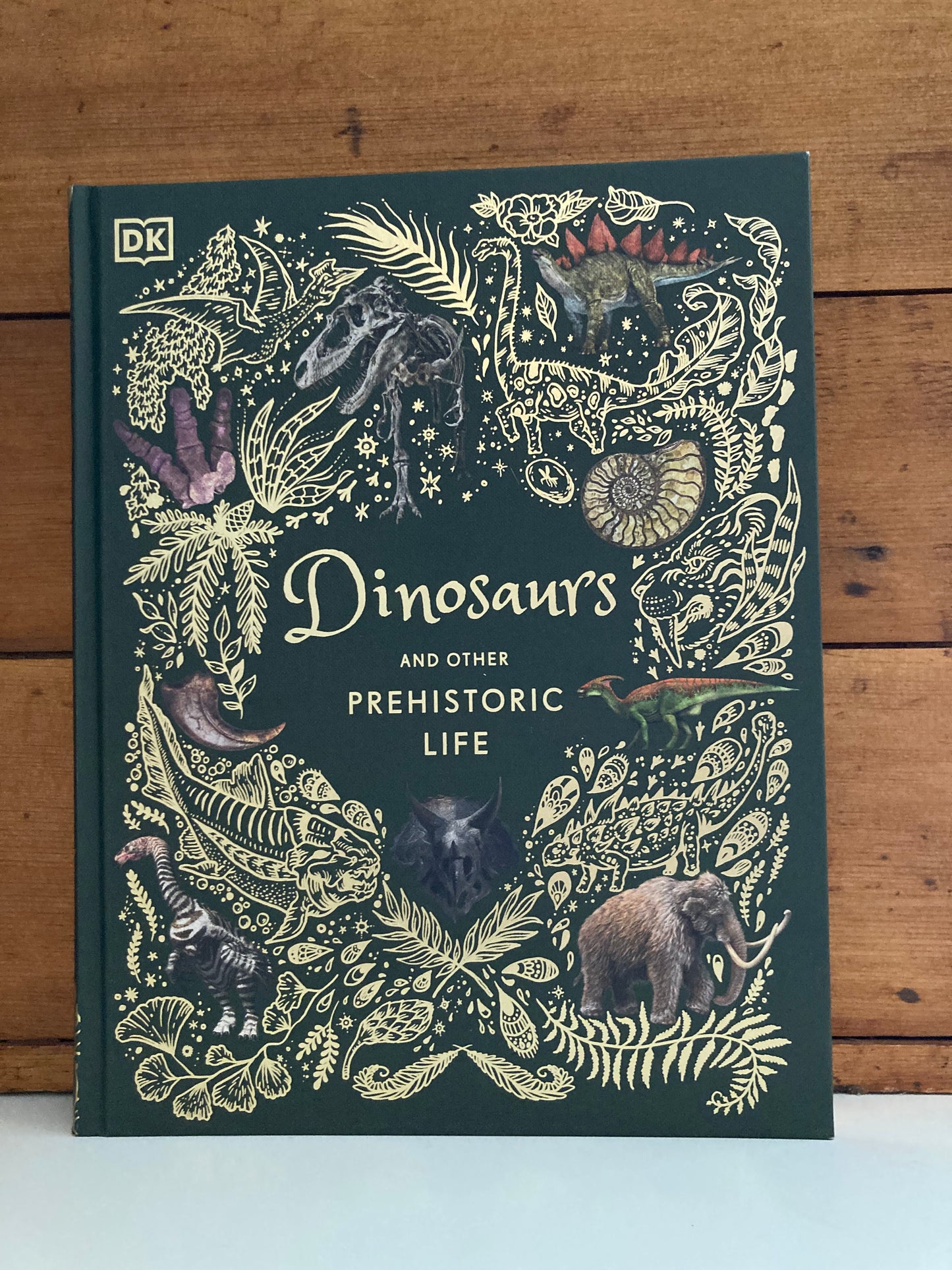 Livre d'images de ressources pédagogiques - DINOSAURES ET VIE PRÉHISTORIQUE