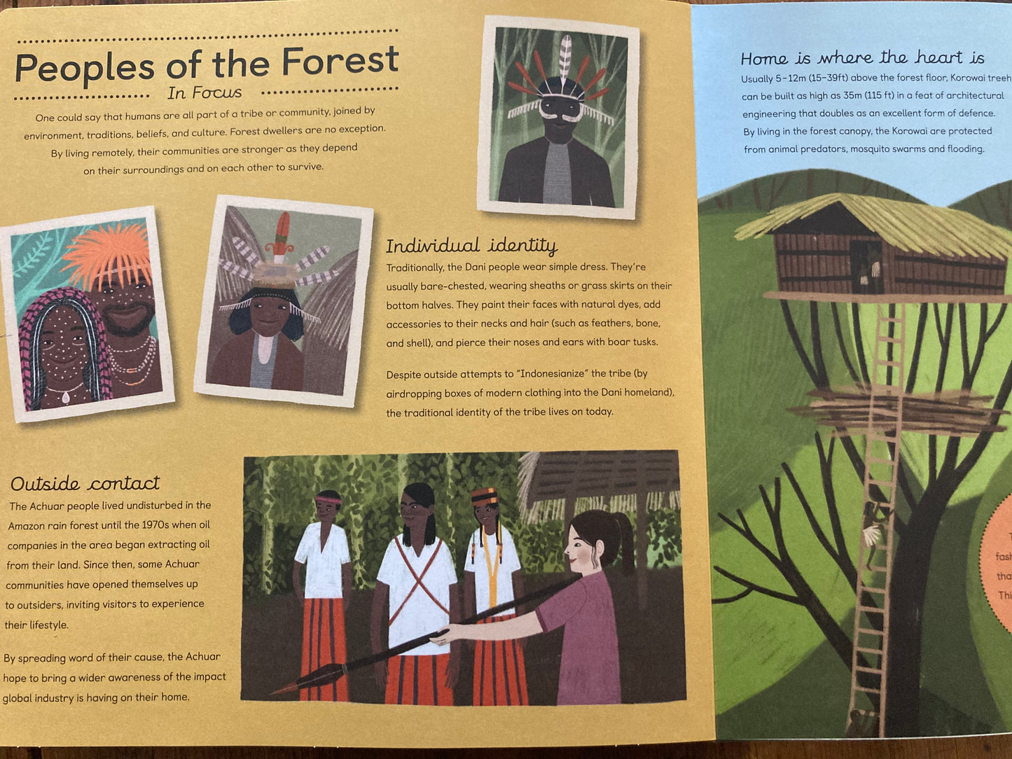 Educational Book - FORESTS IN FOCUS