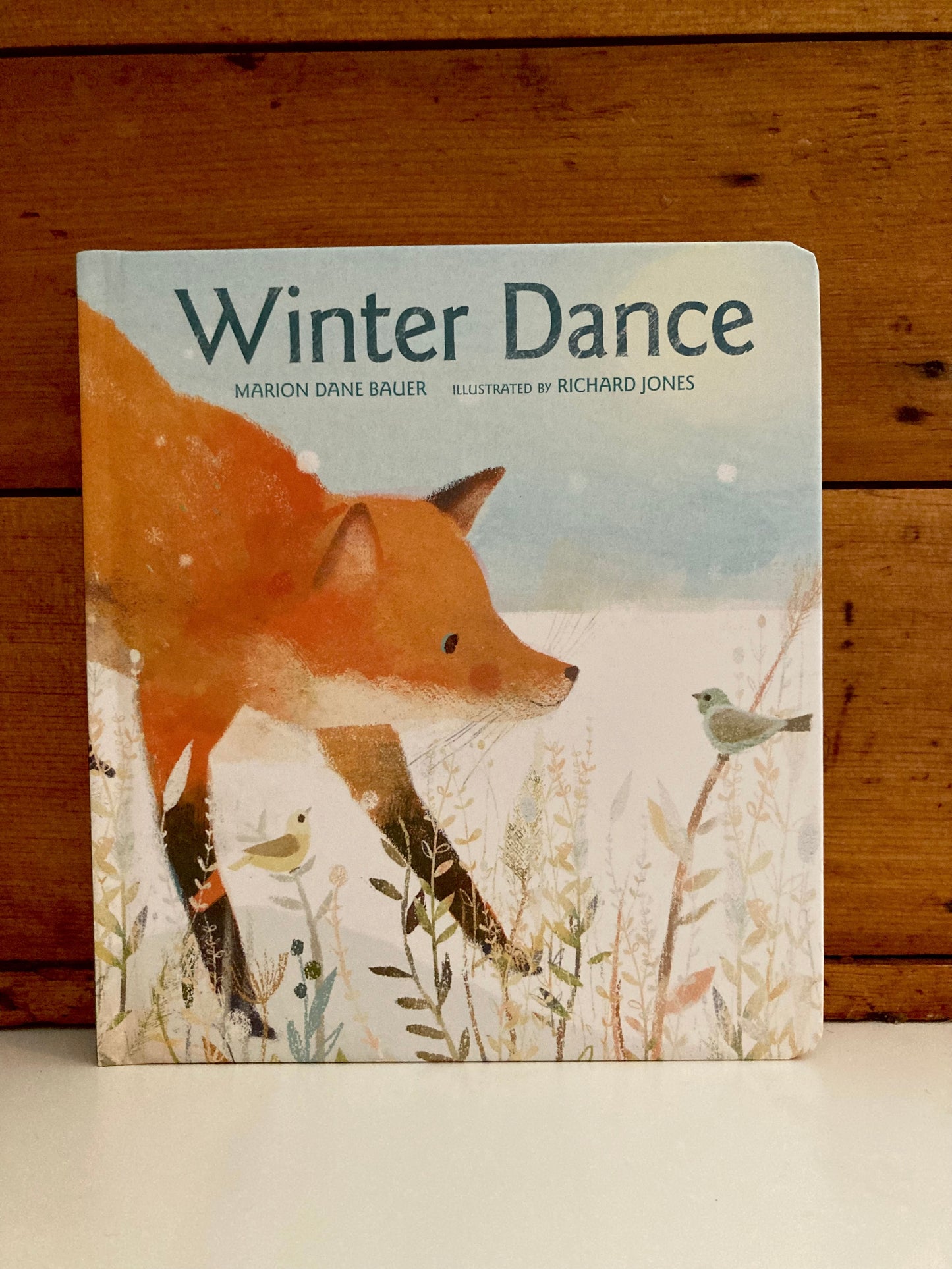 Livre cartonné, Bébé - DANSE D'HIVER