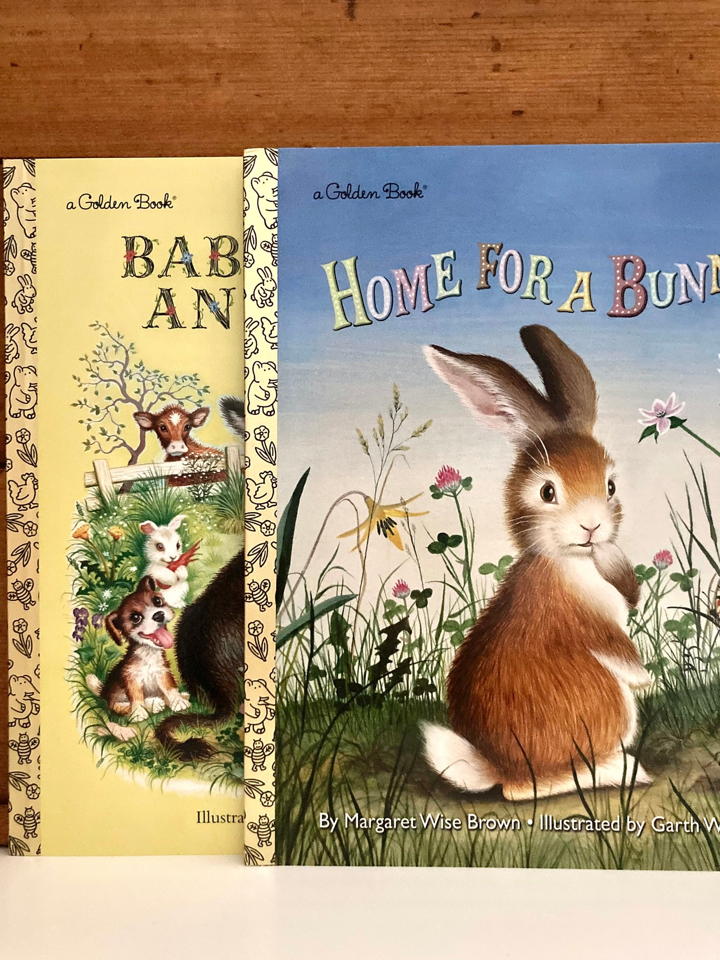 Children’s Picture Book - BABY FARM ANIMALS and HOME FOR A BUNNY