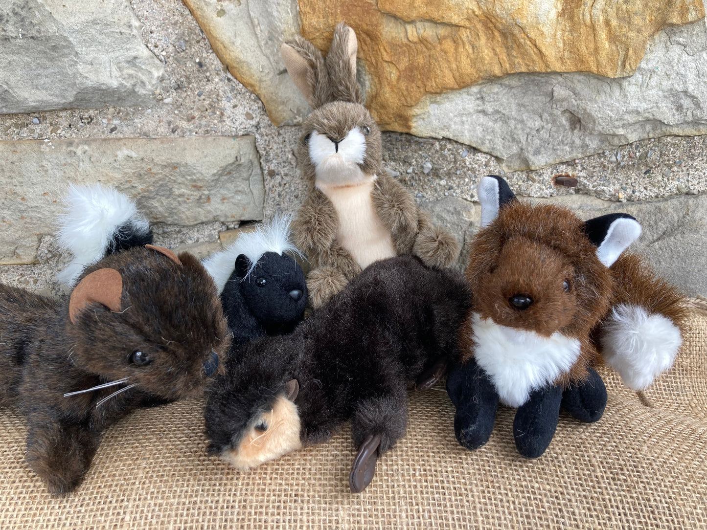 Ensemble de mini marionnettes douces - ANIMAUX SAUVAGES des PRAIRIES