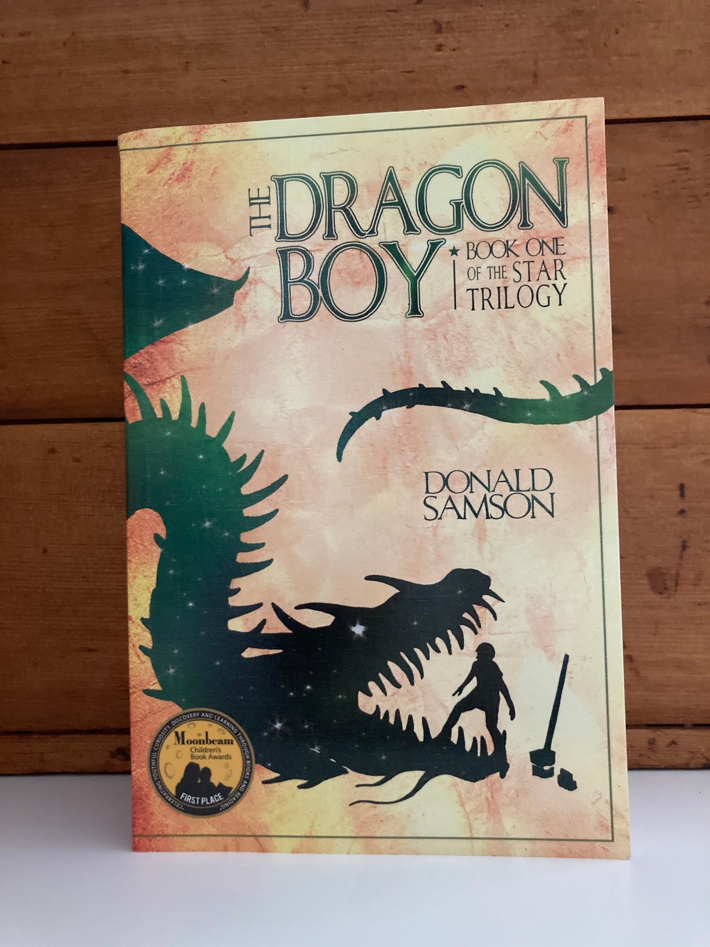 Livres de chapitres pour lecteurs plus âgés - TRILOGIE DRAGON BOY STAR