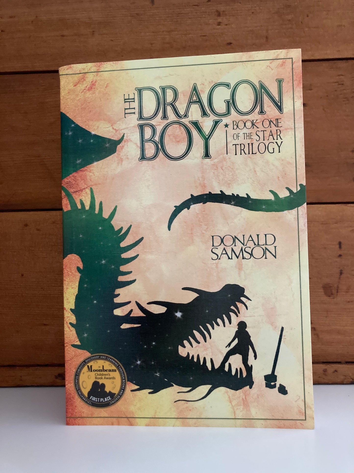 Chapter Books for Older Readers - DRAGON BOY STAR TRILOGY