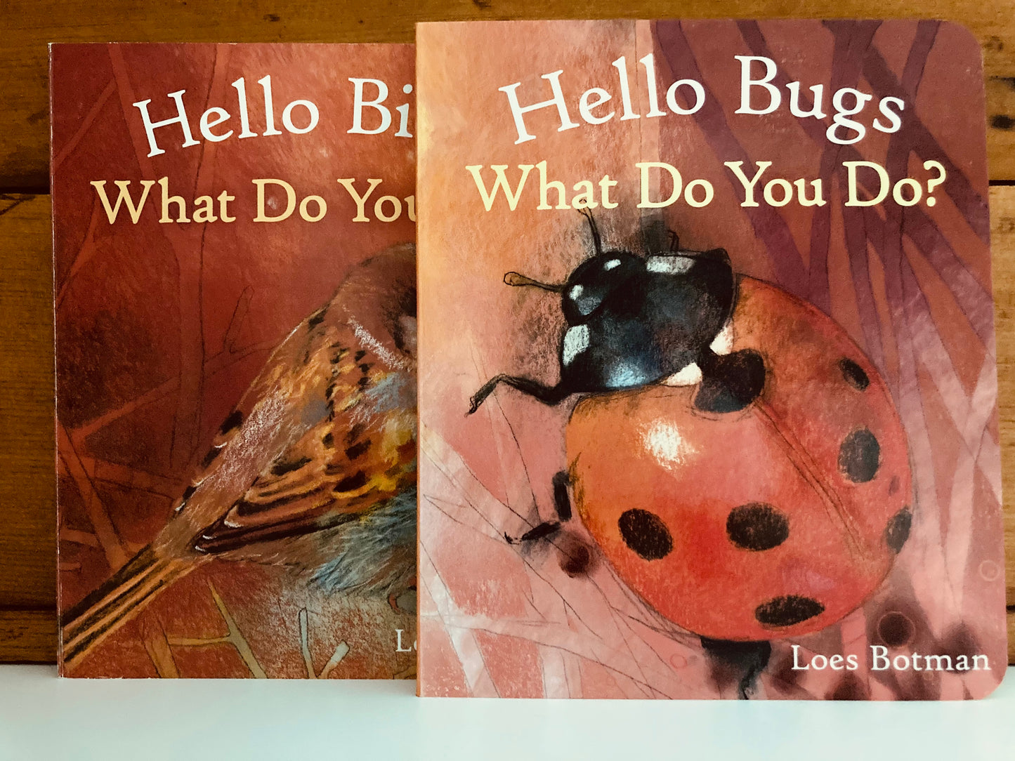 Board Book, Baby - HELLO Series of Books