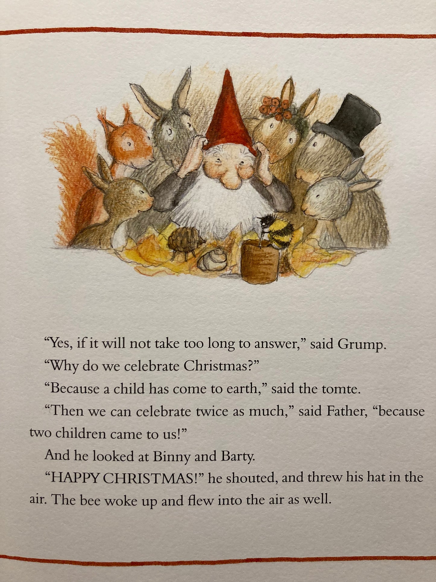 Children’s Chapter Picture Book - THE YULE TOMTE AND THE LITTLE RABBITS