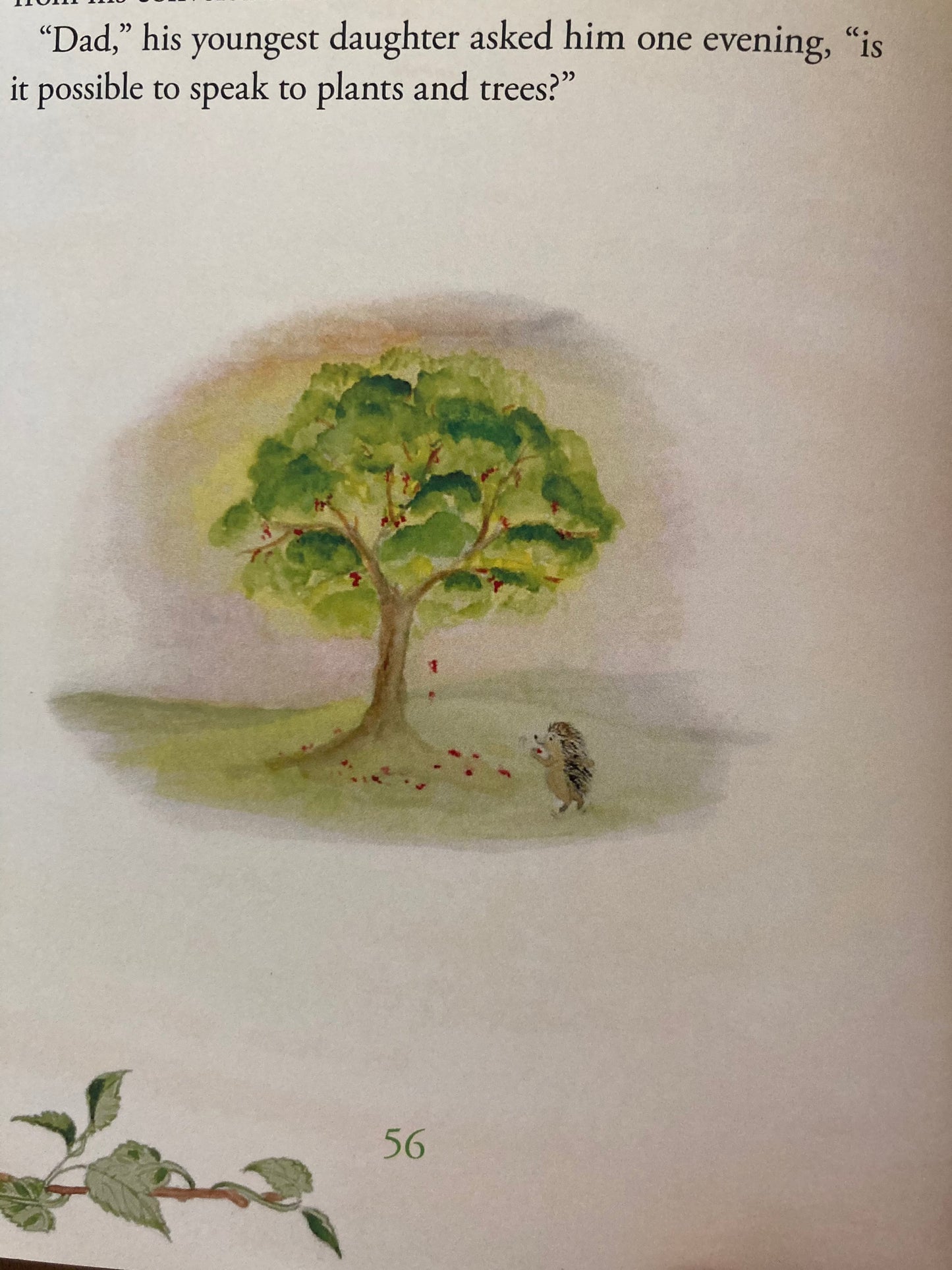 Educational Chapter Picture Book - JONATHAN AND THE TREE