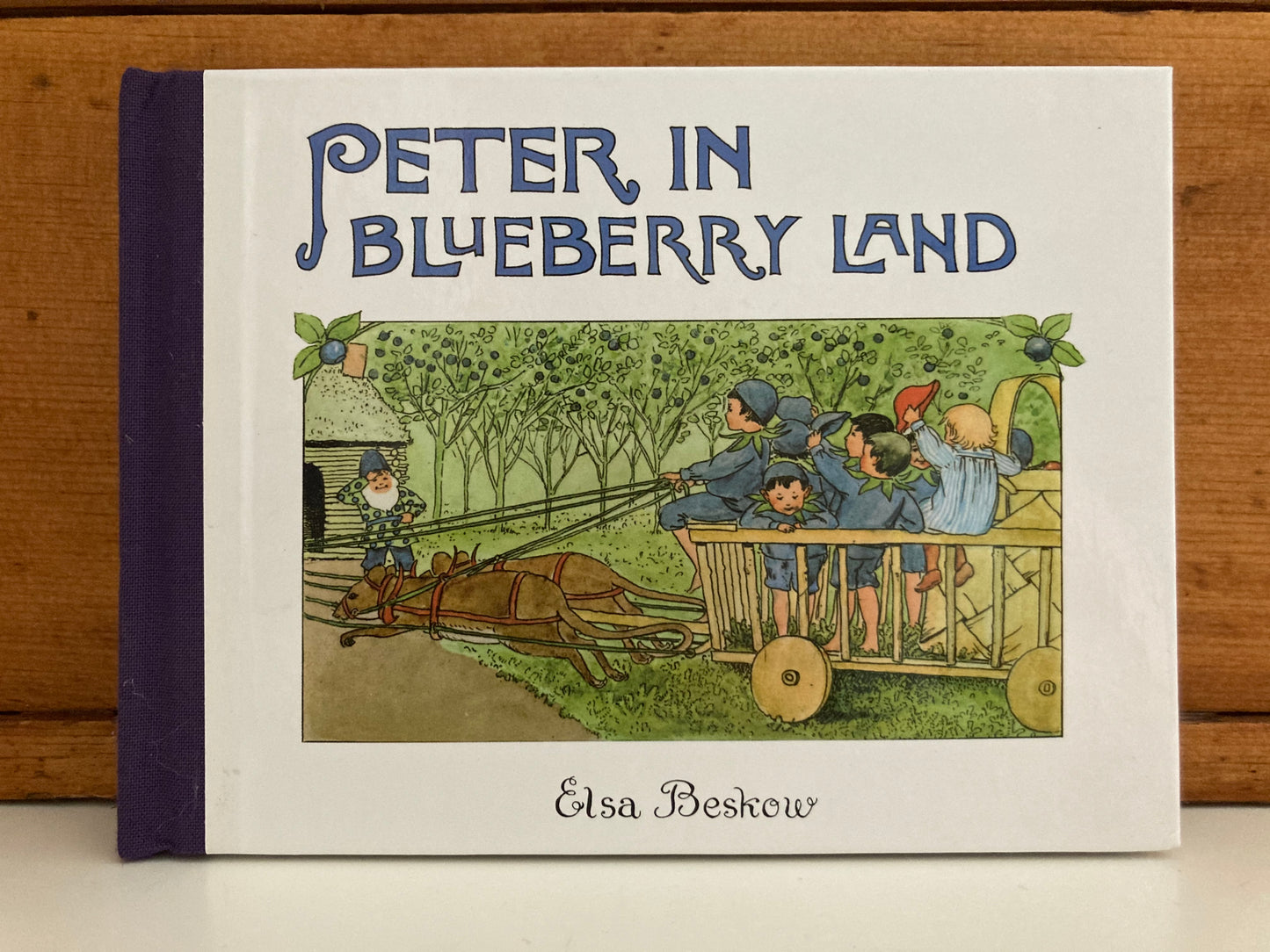 Livre d'images pour enfants - PETER AU PAYS DES BLEUETS, format mini