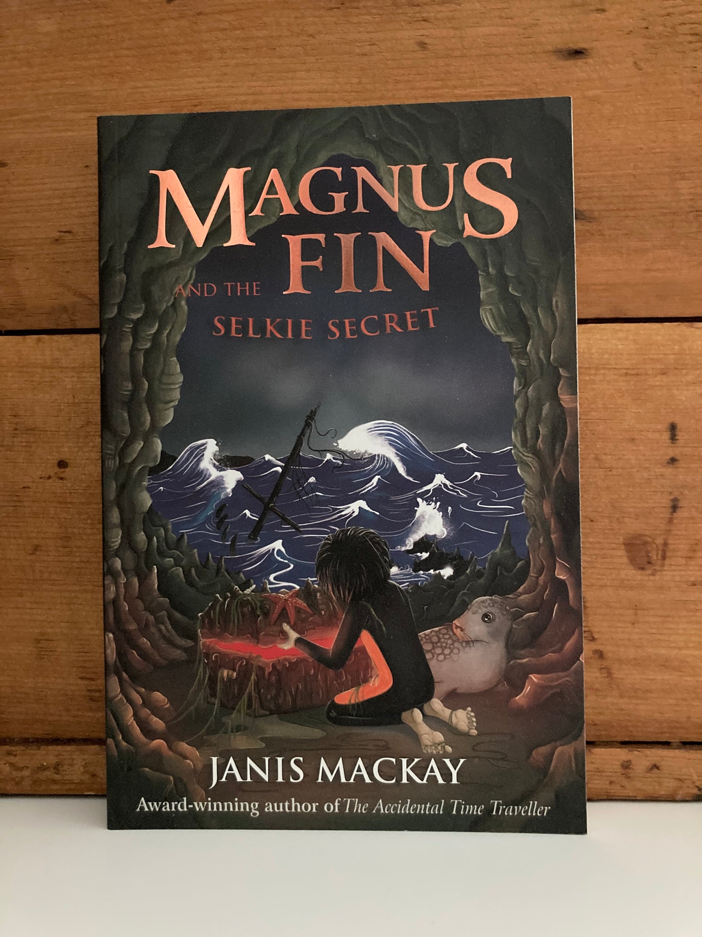 Chapter Books for Older Readers - MAGNUS FIN TRILOGY BOOKS