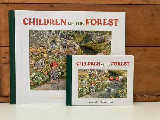 Livre d'images pour enfants - LES ENFANTS DE LA FORÊT, format mini