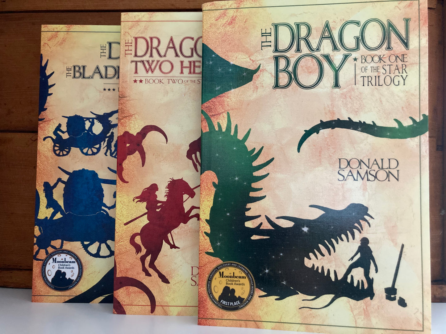 Livres de chapitres pour lecteurs plus âgés - TRILOGIE DRAGON BOY STAR