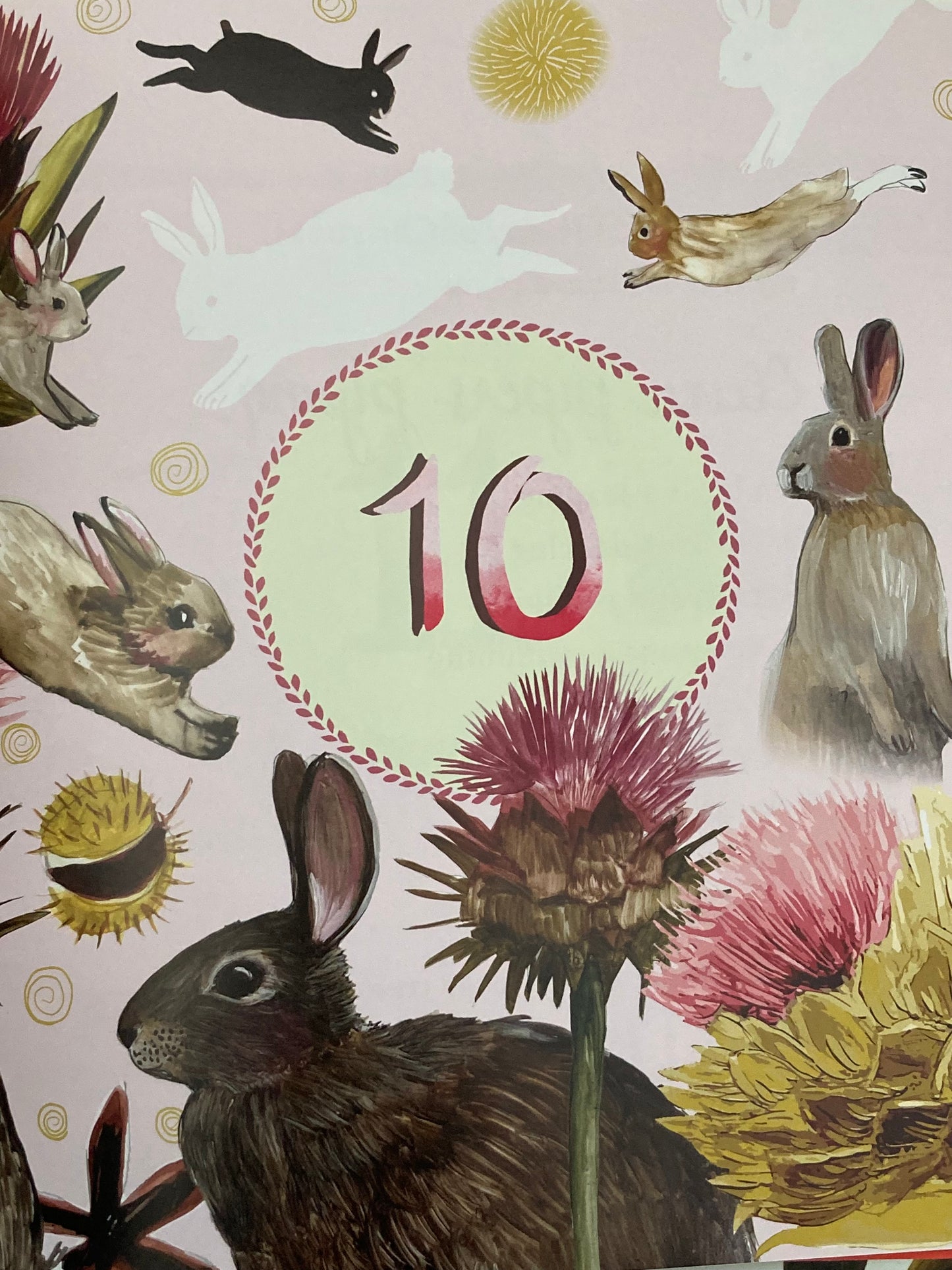 Children's Picture Book - THE TWELVE DAYS OF CHRISTMAS, A Celebration of Nature