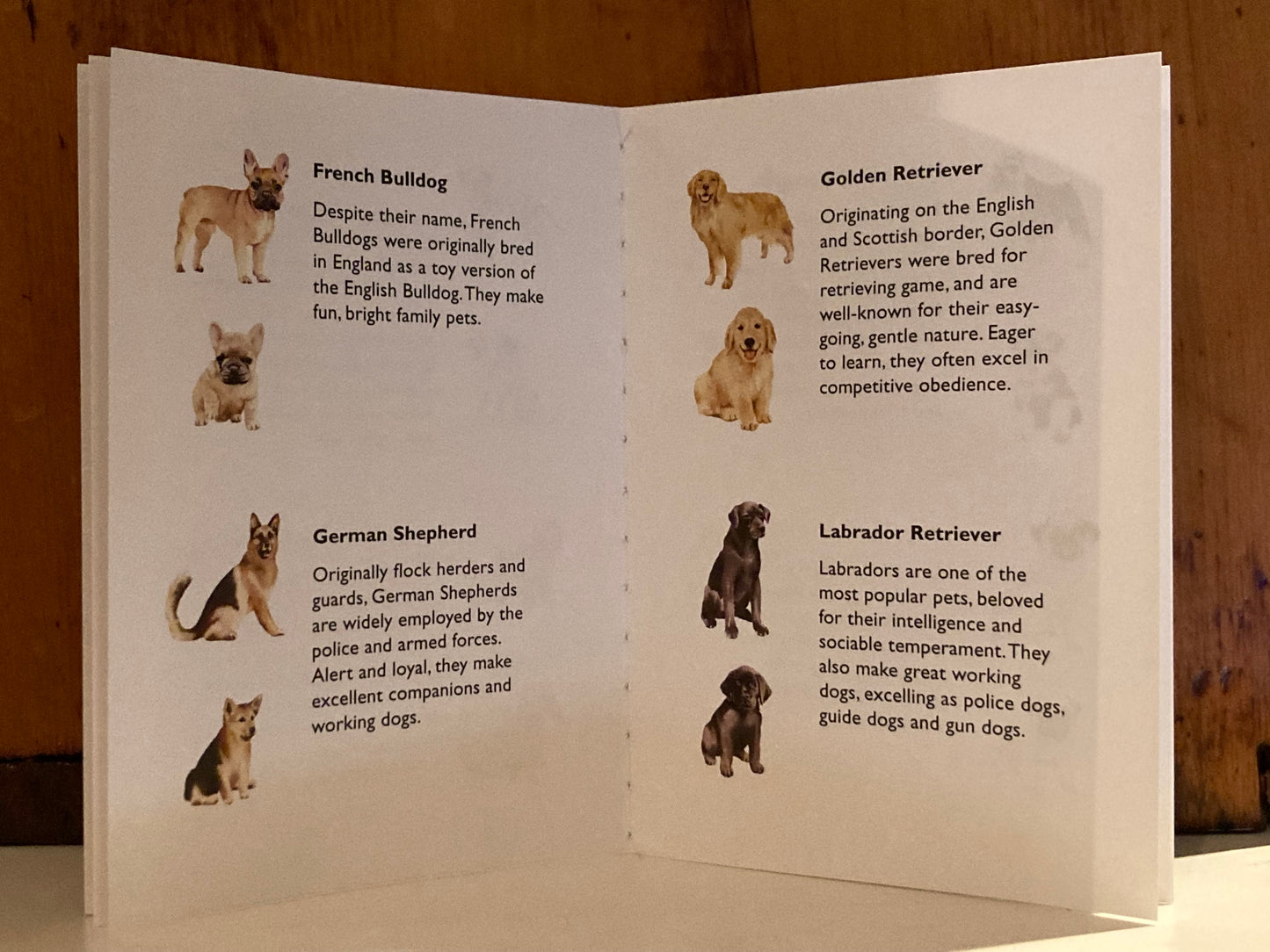 Memory Game Set - DOGS & PUPPIES