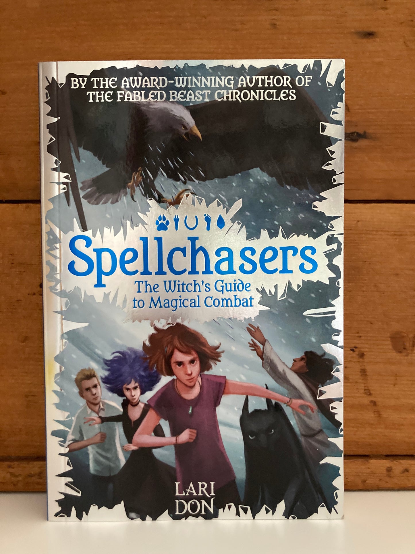 Chapter Books for Older Readers - SPELLCHASERS TRILOGY