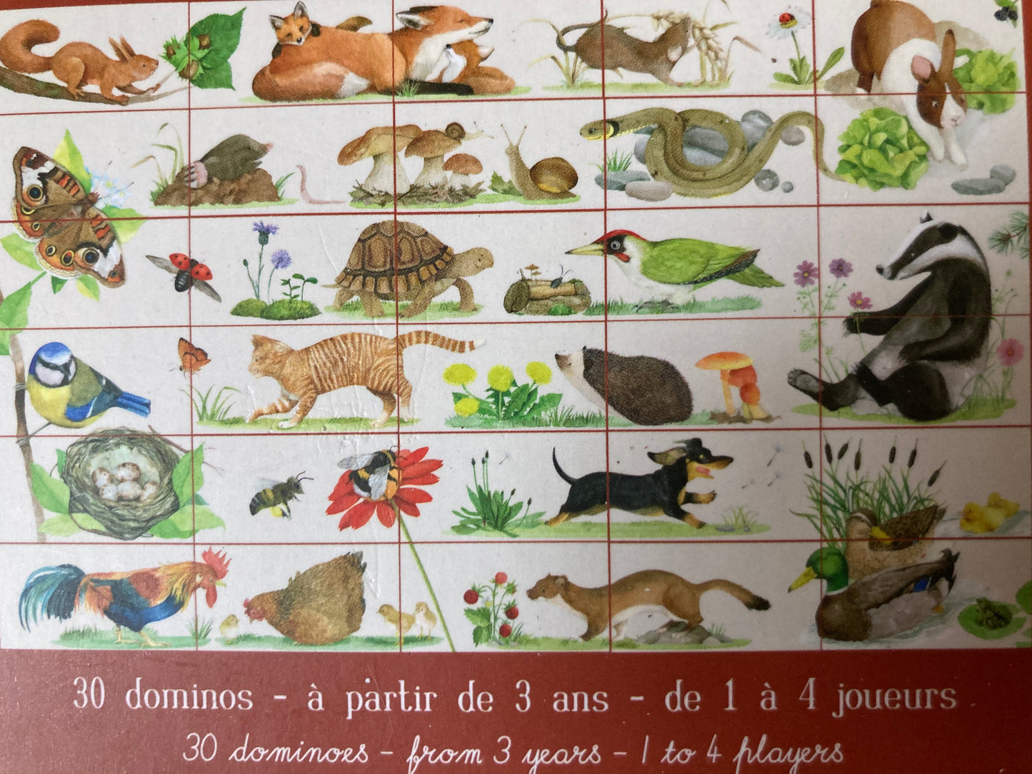 Ensemble de jeu de puzzle éducatif - DOMINOS ANIMAUX